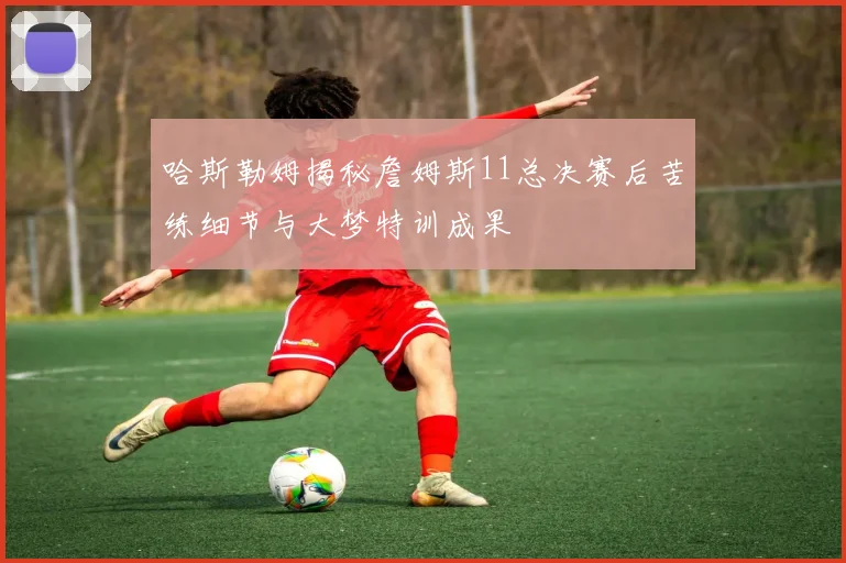 哈斯勒姆揭秘詹姆斯11总决赛后苦练细节与大梦特训成果